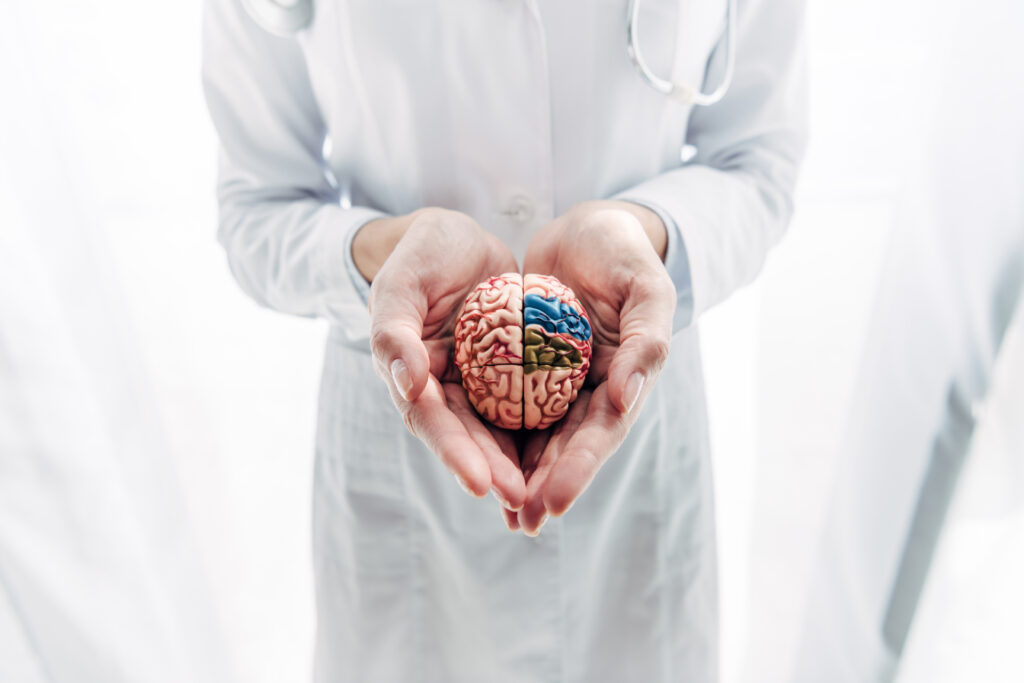 Hormones and Brain Health: How Estrogen, Testosterone, and Cortisol Shape Cognitive Aging