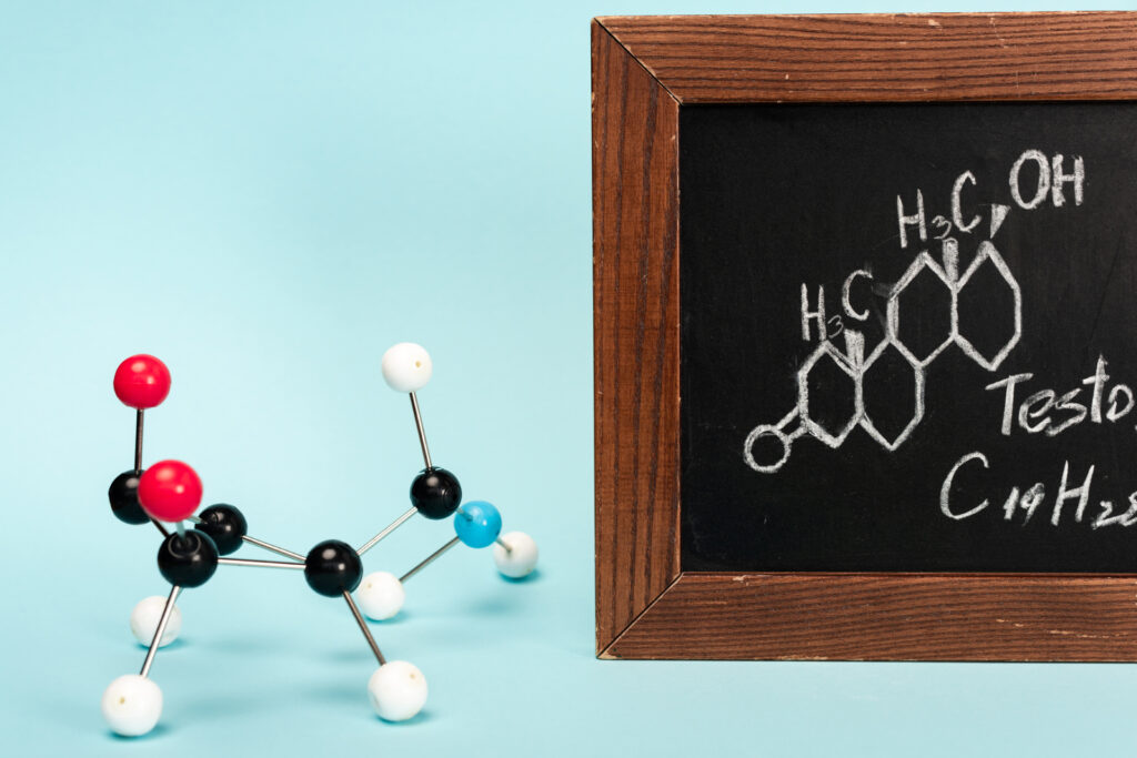 Estrogen as Nature’s Longevity Molecule: What Science Reveals